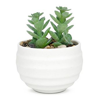 Small Artificial Succulents in White Pots Realistic Faux Potted Plants for Home Office Desk Decor
