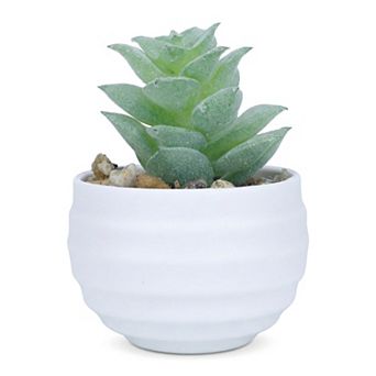 Small Artificial Succulents in White Pots Realistic Faux Potted Plants for Home Office Desk Decor