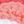Rose Gradient Pink