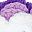 Rose Gradient Purple