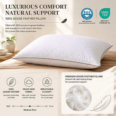 Unikome Diamond Quilted Goose Feather Pillow Set of 2, Brown Piped Hotel Support Bed Pillows