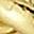 Gold Tone