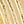Gold Tone