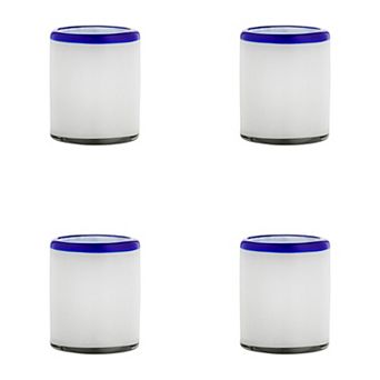 10 Strawberry Street 4 pc Leon Mexican Glassware DOF Glasses Set
