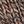 Brown Cream Stripe