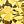 Gold Tone Nov