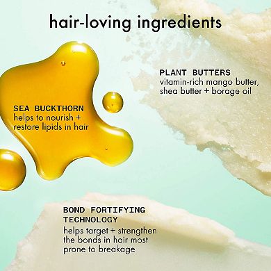 Mane Menders Strength Repair Wash + Care Value Set