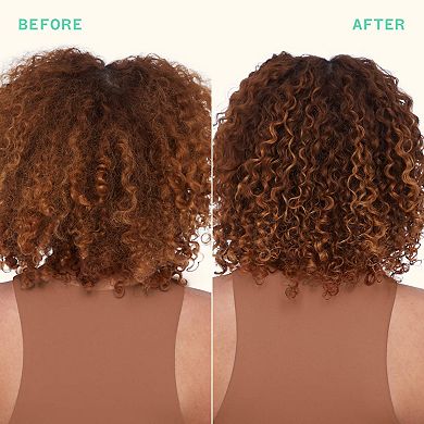 Mane Menders Strength Repair Wash + Care Value Set