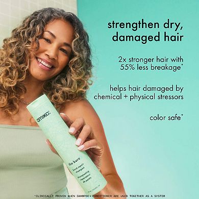 Mane Menders Strength Repair Wash + Care Value Set