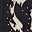 Black Cow Print