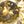 Gold Tone August