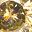 Gold Tone August