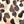 Animal Print