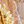 Sand Yellow