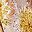 Sand Yellow