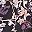 Black Multicolor