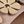 Tan Flower