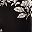 Black Garden Floral