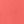 Sunset Coral