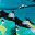 Turquoise Abstract