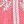 Pink Tropic