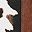 Cow Print Brown