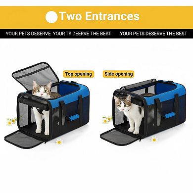Petsfit Soft-sided Pet Carrier 4-sided Mesh Collapsible for Small Dogs Large Cats Up To 20lb