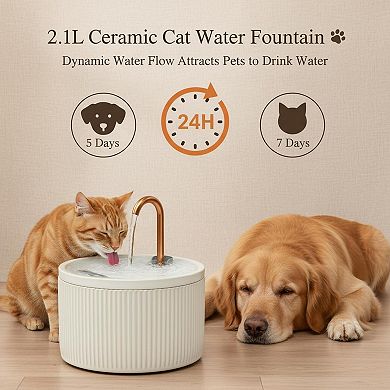 Petsfit Automatic Pet Drinking Quiet Pump Dual Filtration Copper Spout Filter Sponges