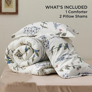 3-Piece Queen Comforter Set, Soft Reversible Coconut White Botanical Floral Bedding