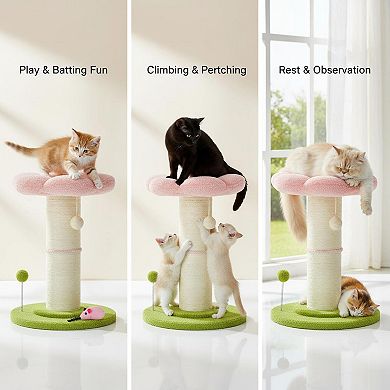 Nicate Flower Cat Scratcher with Removable Bed Hanging Spring Balls for Indoor Cats