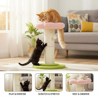 Nicate Flower Cat Scratcher with Removable Bed Hanging Spring Balls for Indoor Cats