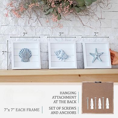 Blue Seashells and Starfish (Framed Set of 3) Coastal 3D Wall Art, Beach Wall Decor (7"x7")