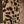 Leopard Print