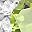 Genuine Peridot