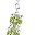 Genuine Peridot