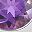 Genuine Amethyst