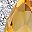 Genuine Citrine