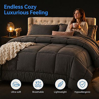 Queen 7-Piece Bed in a Bag Comforter Set Microfiber Soft All Season Bedding