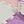 White Pink Purple