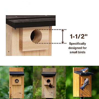 Rot-Resistant Cedar Bluebird House with Rust-Free Hardware and Predator Guard