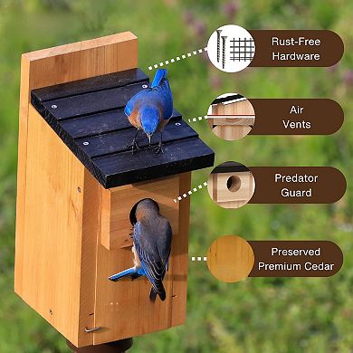 Rot-Resistant Cedar Bluebird House with Rust-Free Hardware and Predator Guard