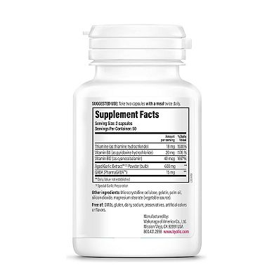Kyolic - Stress and Fatigue Relief Formula 101 - 100 Capsules