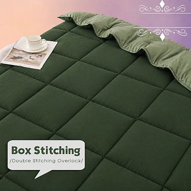 3pc Reversible Comforter Set All Season Down Alternative Breathable Soft Box Stitched with Corner
