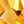 Genuine Citrine