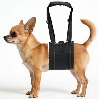 Dog Sling Adjustable Dog Lift Harness for Rear Leg