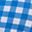 Blue Gingham