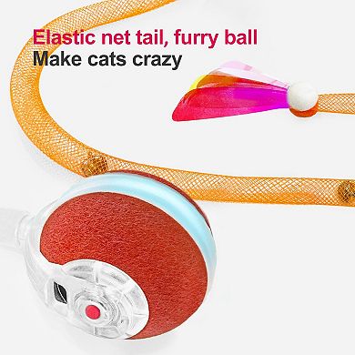 Splendid Frame Interactive Cat Toys