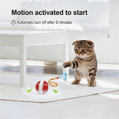 Splendid Frame Interactive Cat Toys