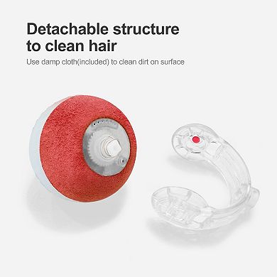 Splendid Frame Interactive Cat Toys