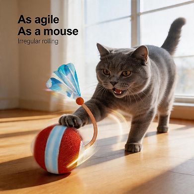 Splendid Frame Interactive Cat Toys